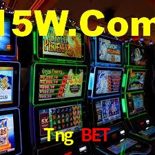 Experiência VIP Tng Bet