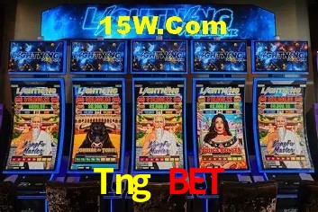 Tng Bet - User Statistics