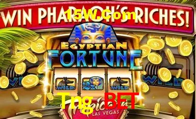 Recursos de Bônus Tng Bet