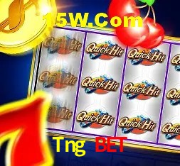 Tng Bet Curitiba - Statistics